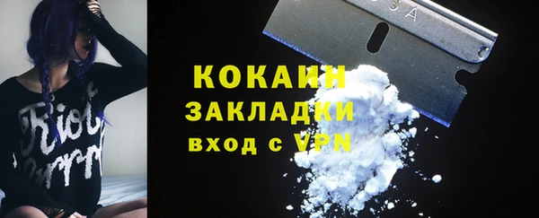 сатива Беломорск