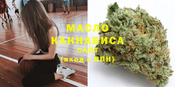 сатива Беломорск