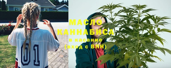 сатива Беломорск