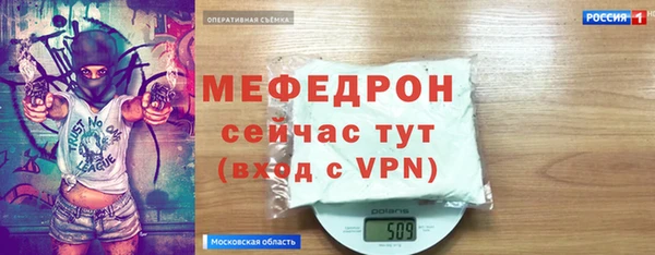 сатива Беломорск