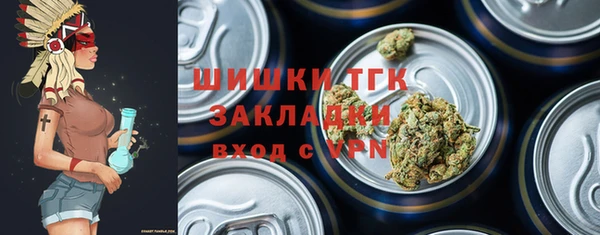 сатива Беломорск